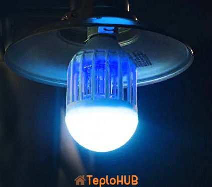 Антимоскітна світлодіодна лампочка Noveen IKN803 LED